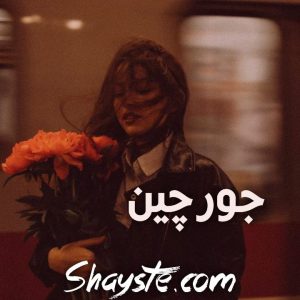 دانلود رمان جورچین عشق از مریم حسینی با لینک مستقیم