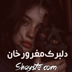 دانلود رمان دلبرک مغرور خان از بانو کهکشان با لینک مستقیم